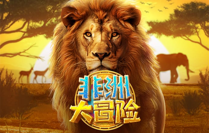im体育app官网下载